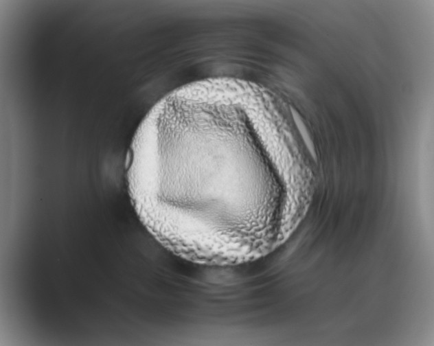 X0000088700189200706282030