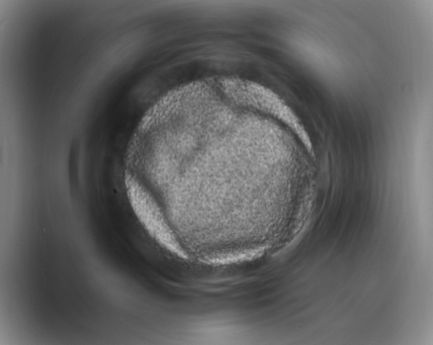 X0000088700191200706282030