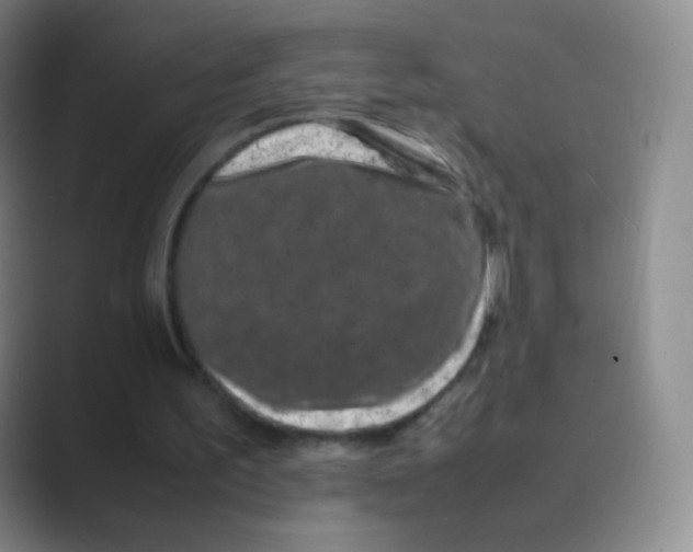 X0000088700195200706282030