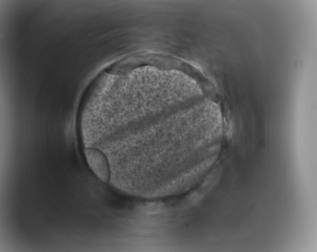 X0000088700196200706282030