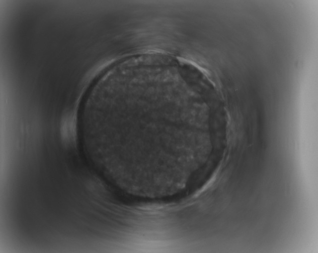 X0000088700200200706282030