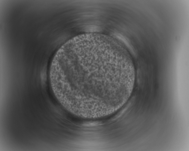 X0000088700202200706282030