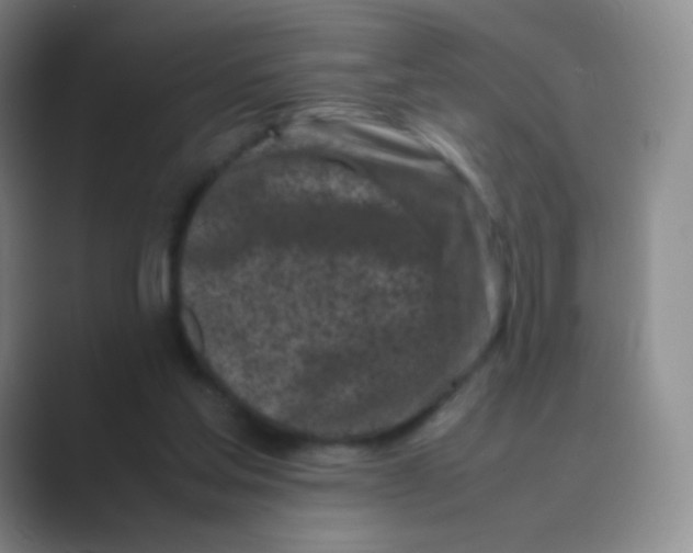 X0000088700205200706282030