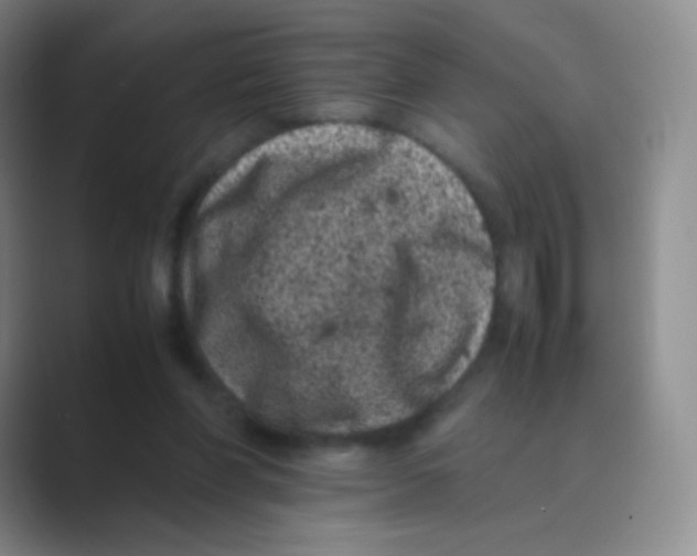 X0000088700206200706282030