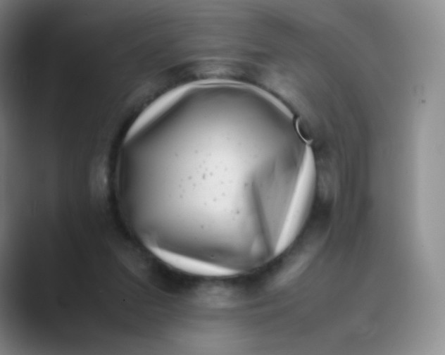 X0000088700207200706282030