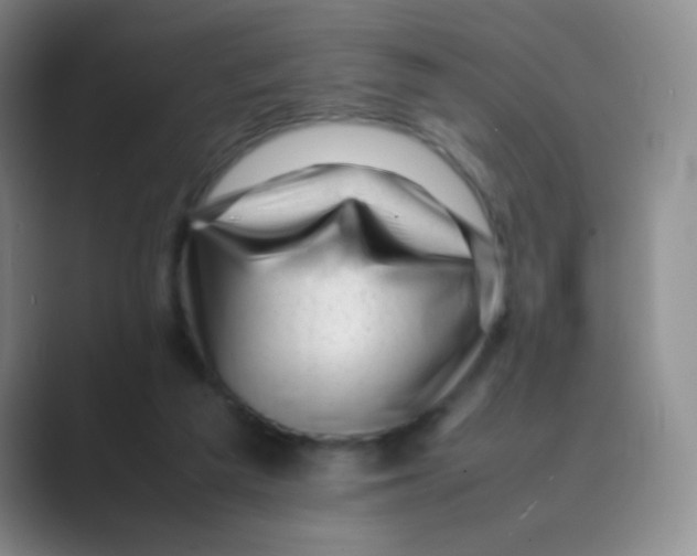 X0000088700209200706282030