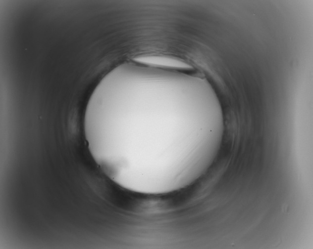 X0000088700212200706282030