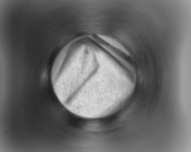 X0000088700214200706282029