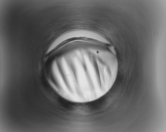 X0000088700215200706282029