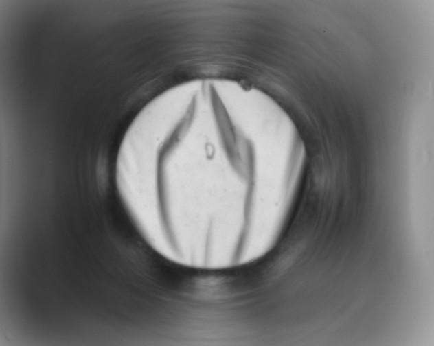 X0000088700216200706282029