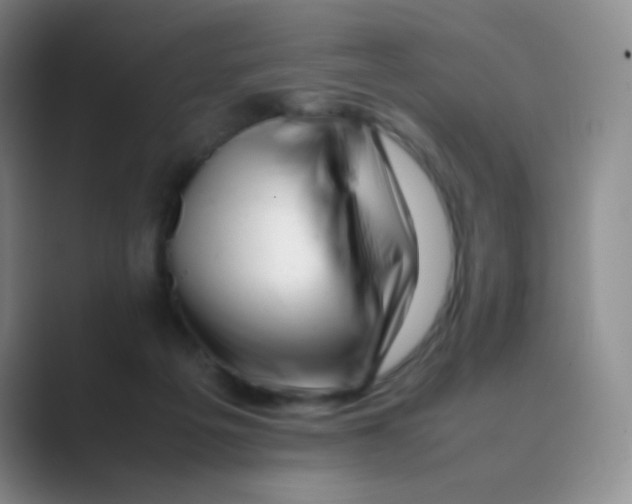 X0000088700217200706282029