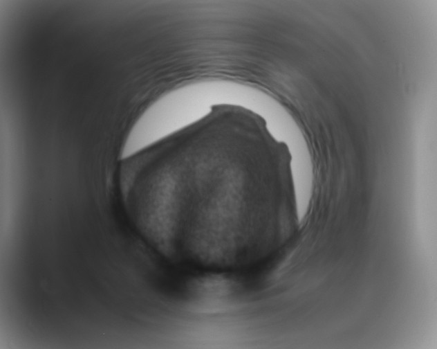 X0000088700219200706282029