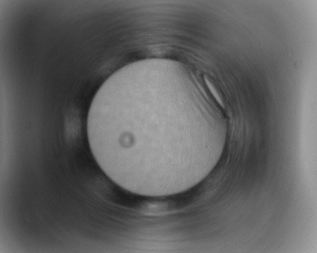 X0000088700220200706282029