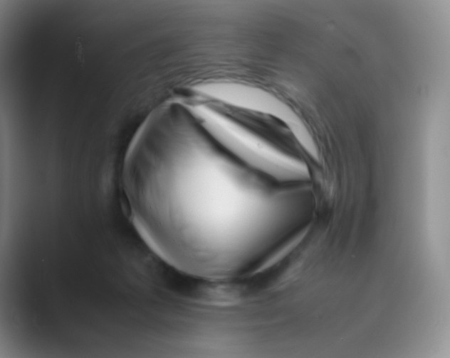 X0000088700221200706282029