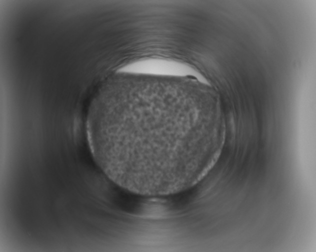 X0000088700222200706282029