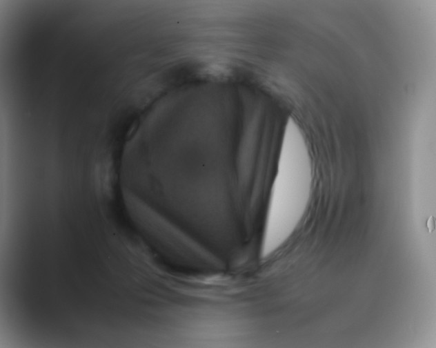 X0000088700223200706282029