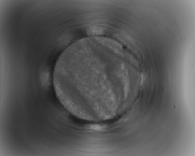 X0000088700224200706282029