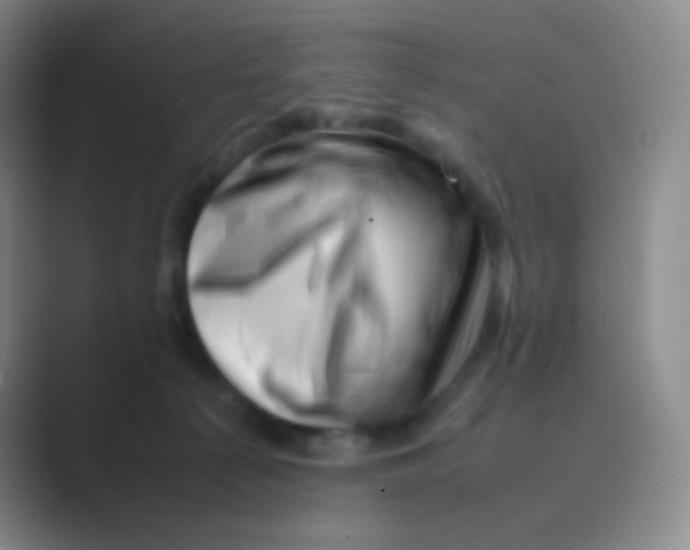 X0000088700225200706282029