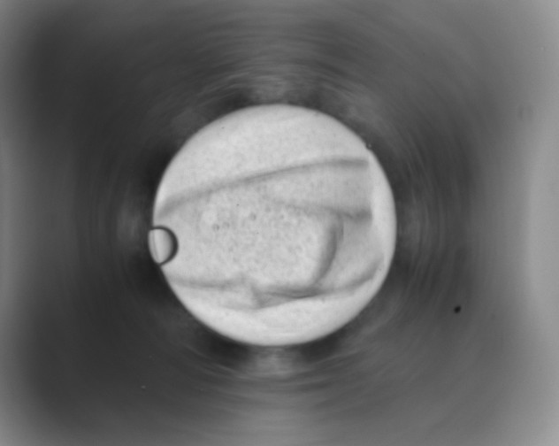 X0000088700226200706282029