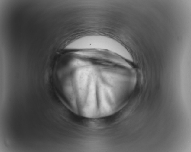 X0000088700229200706282029