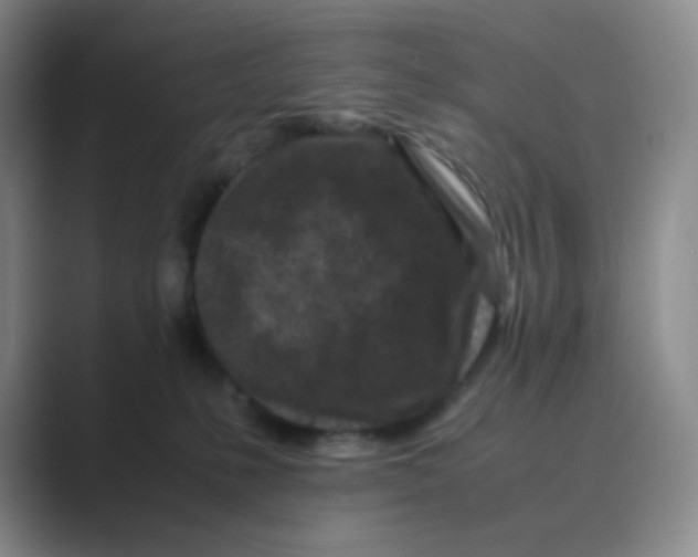 X0000088700231200706282029