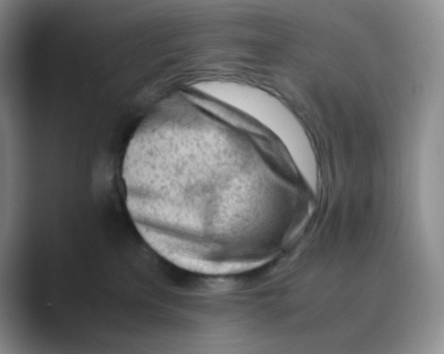 X0000088700233200706282029