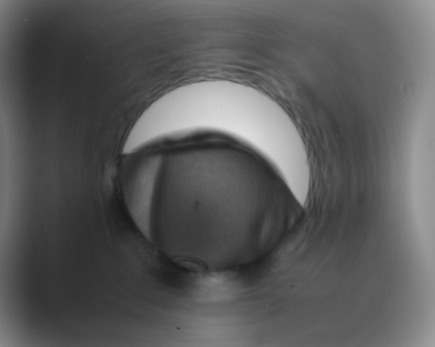 X0000088700235200706282029