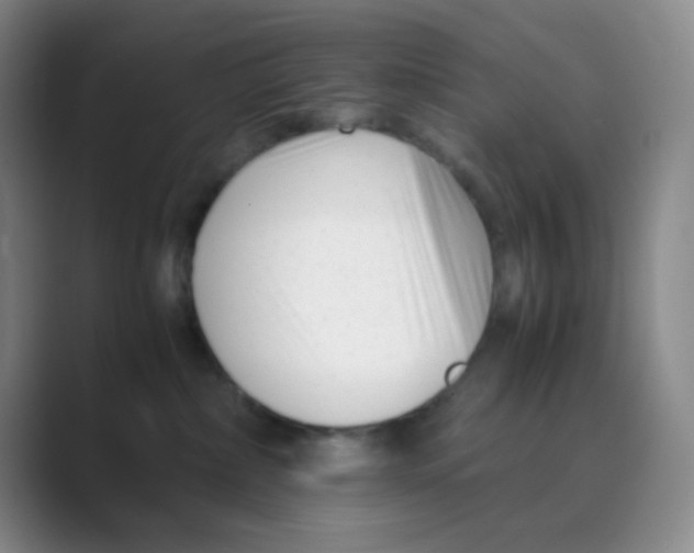 X0000088700236200706282029