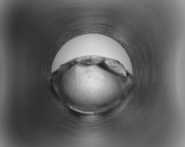 X0000088700237200706282029