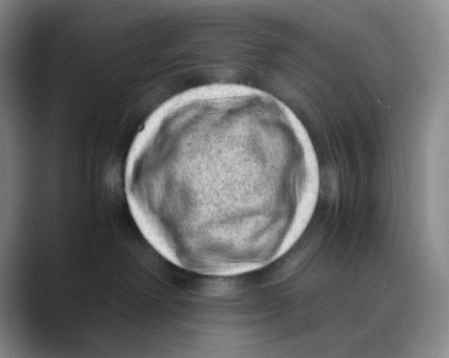 X0000088700238200706282029