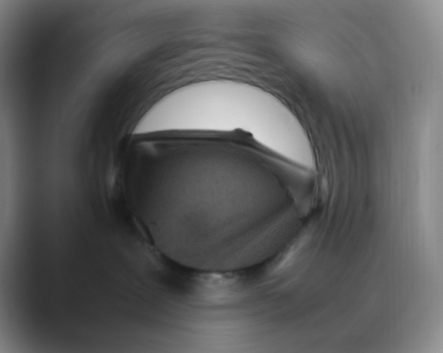 X0000088700239200706282029