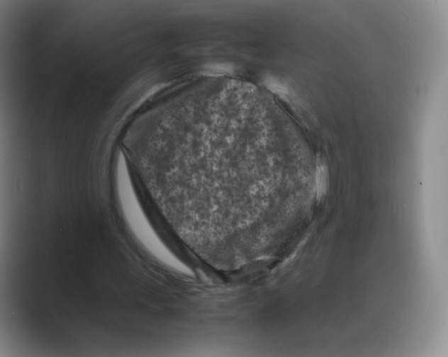 X0000088700243200706282029