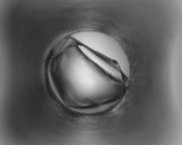 X0000088700244200706282029