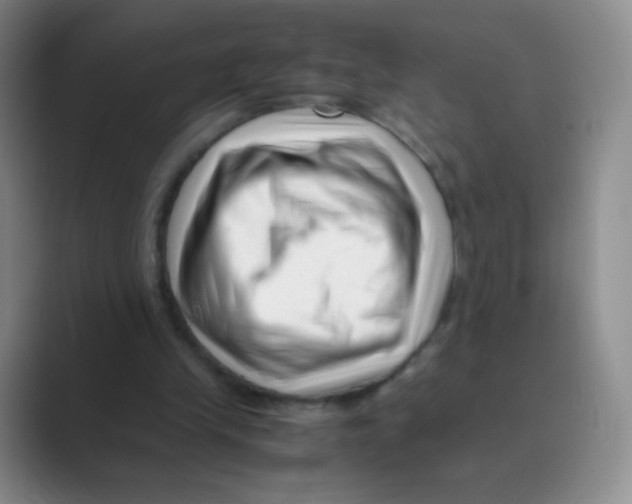 X0000088700245200706282029