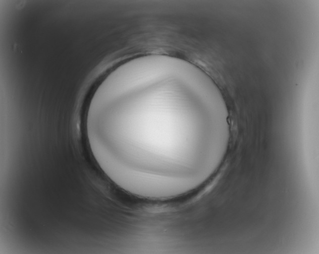 X0000088700246200706282029