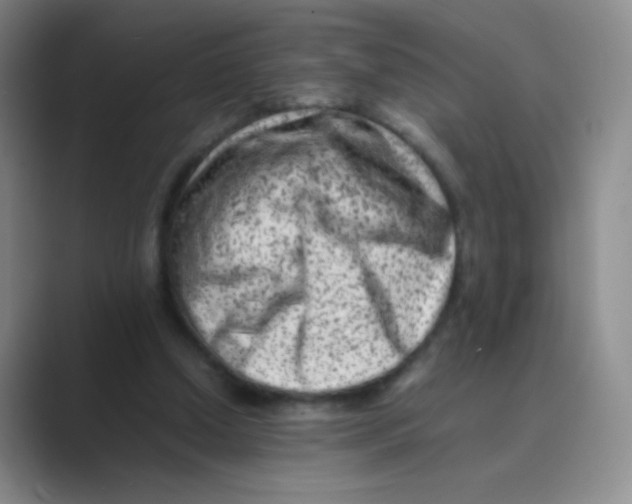 X0000088700250200706282029