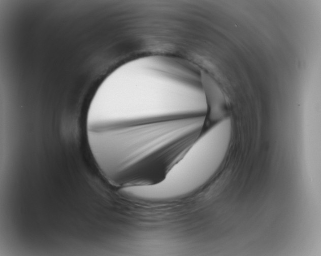 X0000088700252200706282029