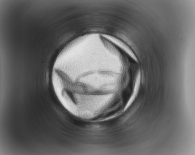 X0000088700253200706282029