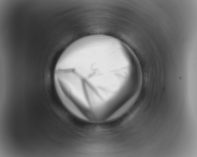 X0000088700254200706282029