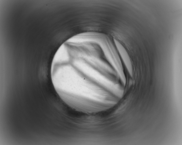 X0000088700255200706282029