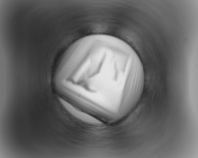 X0000088700257200706282029