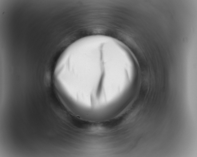 X0000088700262200706282029