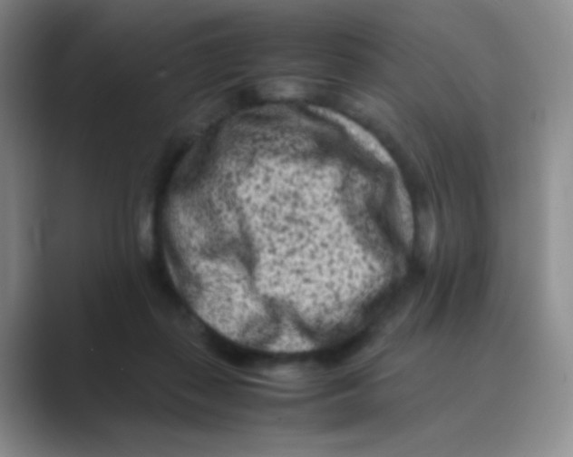 X0000088700267200706282029