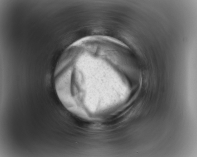 X0000088700269200706282029