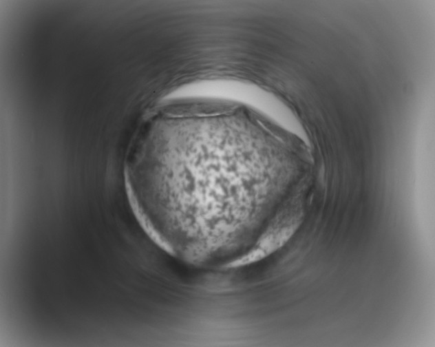 X0000088700272200706282029