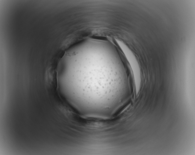 X0000088700276200706282029