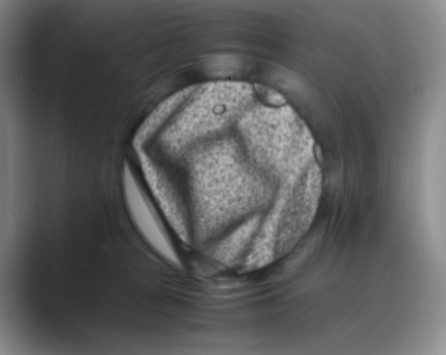 X0000088700277200706282029