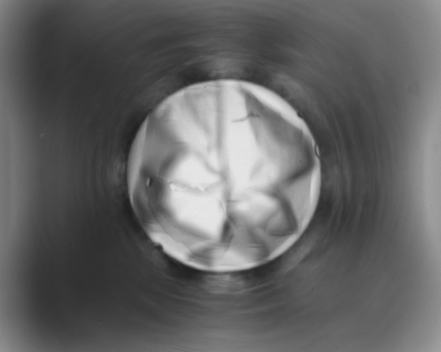 X0000088700281200706282029