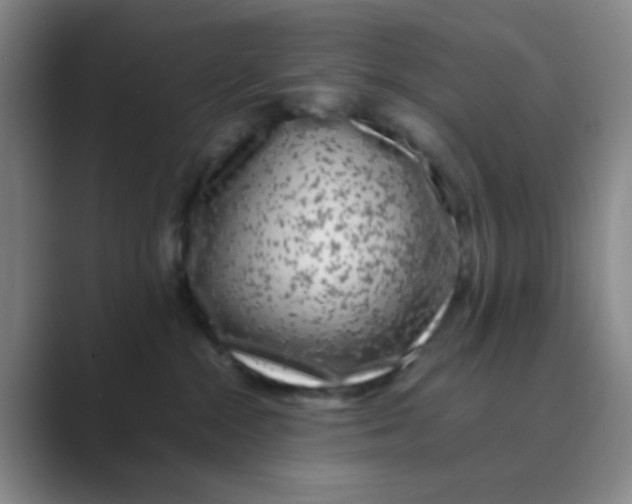 X0000088700284200706282029