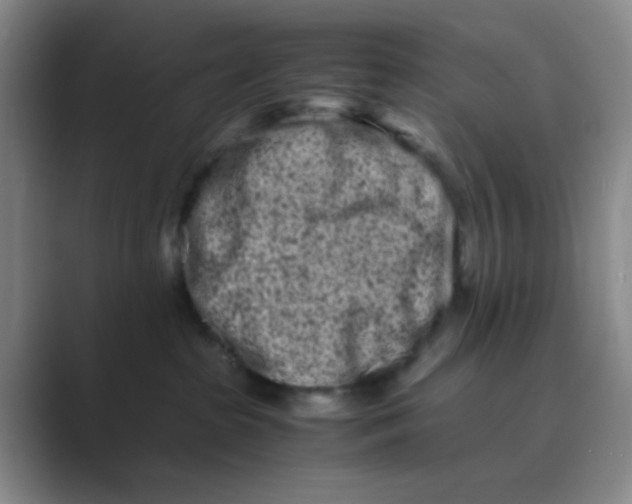 X0000088700285200706282029